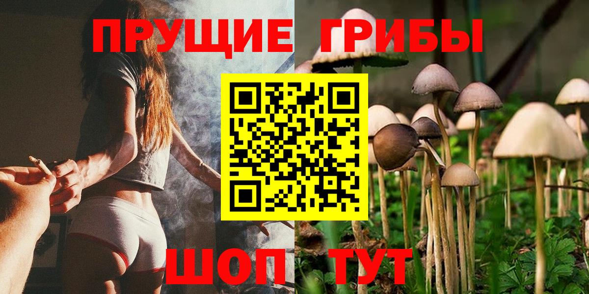 Томск  Псилоцибиновые грибы мицелий  Вход с VPN  Псилоцибиновые грибы прущие грибы 